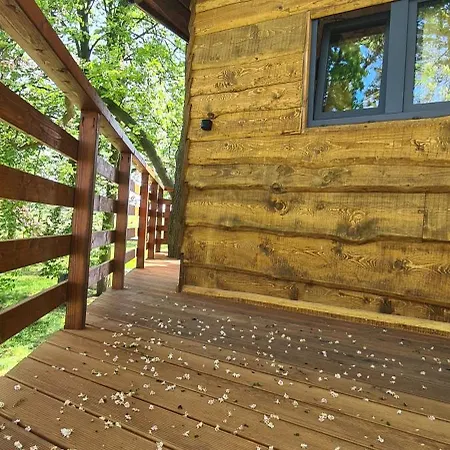 Tree Vill Hotel Goledzinow Exterior photo