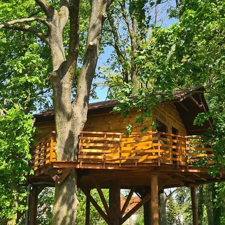 Tree Vill Hotel Goledzinow Exterior photo