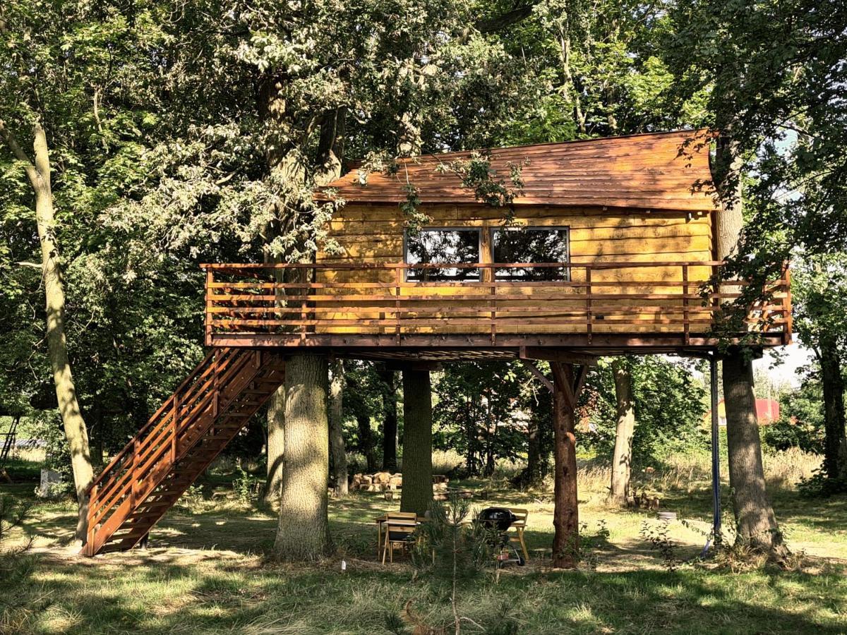 Tree Vill Campsite Goledzinow