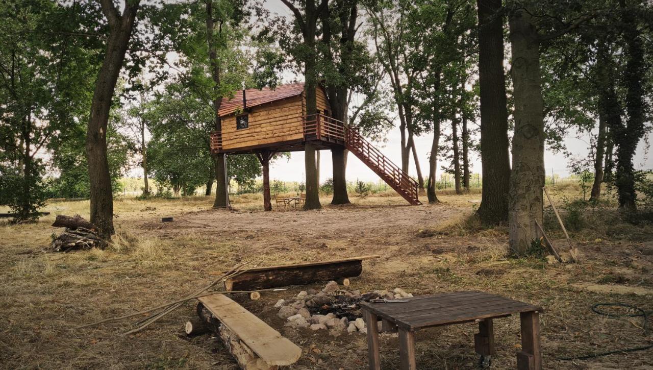 Campsite Tree Vill
