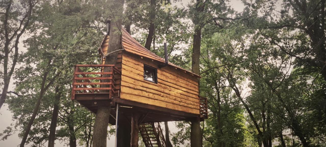 Campsite Tree Vill Goledzinow