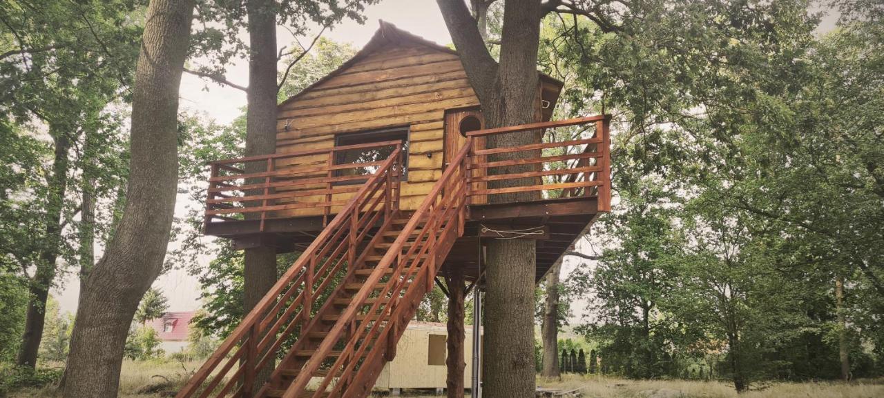 Tree Vill Campsite *