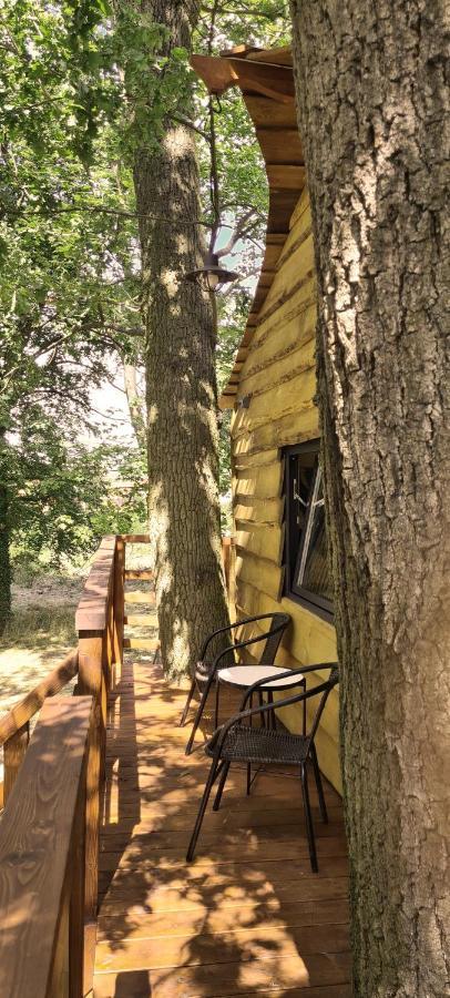 Tree Vill Campsite Goledzinow