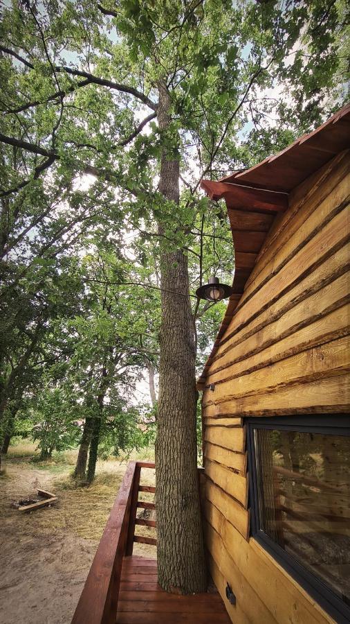 Campsite Tree Vill