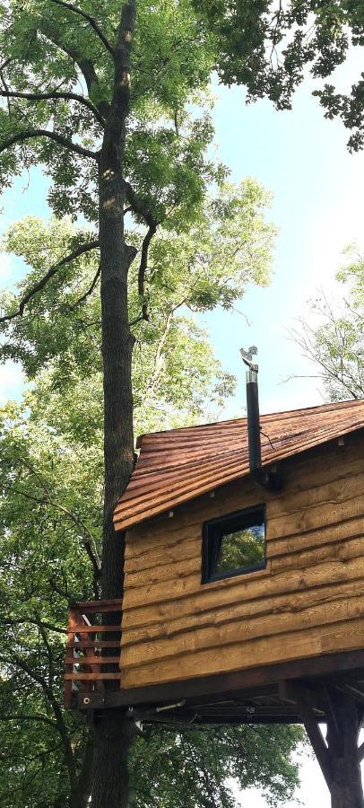 Tree Vill Campsite