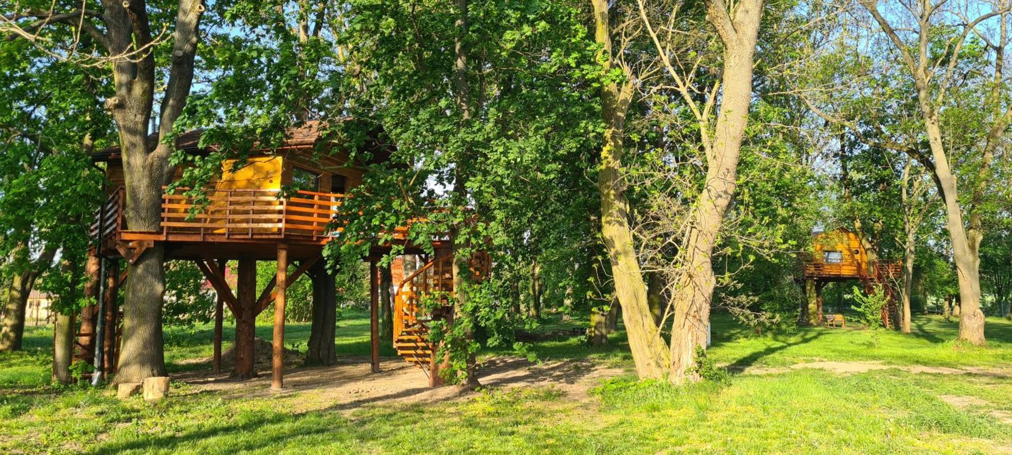 Campsite Tree Vill *