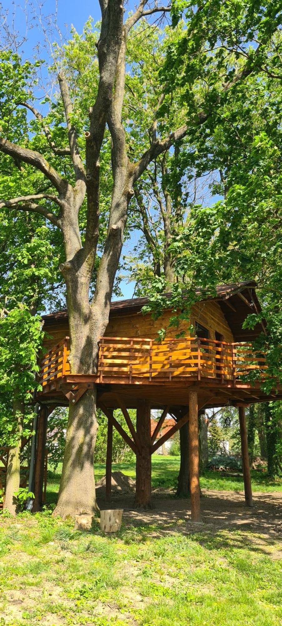 Campsite Tree Vill *